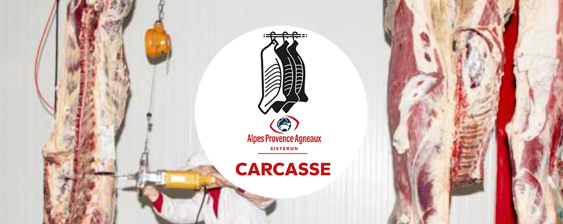 photo-picto-accordeon-carcasse